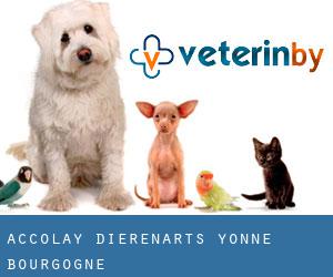 Accolay dierenarts (Yonne, Bourgogne)