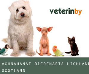 Achnahanat dierenarts (Highland, Scotland)