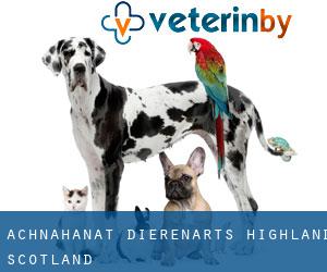 Achnahanat dierenarts (Highland, Scotland)