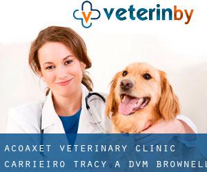 Acoaxet Veterinary Clinic: Carrieiro Tracy A DVM (Brownell Corner)
