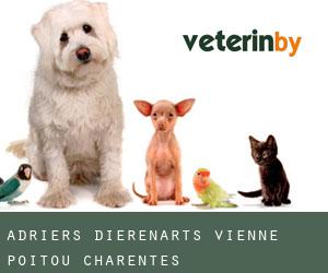 Adriers dierenarts (Vienne, Poitou-Charentes)