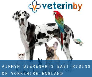 Airmyn dierenarts (East Riding of Yorkshire, England)