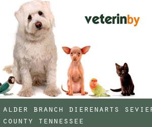 Alder Branch dierenarts (Sevier County, Tennessee)