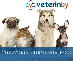 Ambulatorio veterinario (Paola)