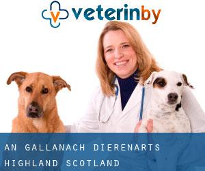 An Gallanach dierenarts (Highland, Scotland)