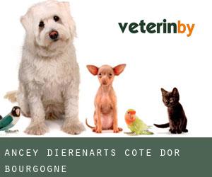 Ancey dierenarts (Cote d'Or, Bourgogne)