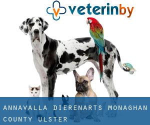 Annavalla dierenarts (Monaghan County, Ulster)