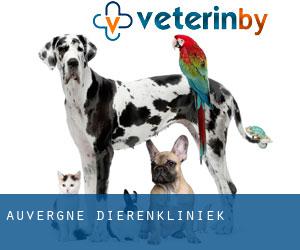 Auvergne dierenkliniek Auvergne dierenkliniek