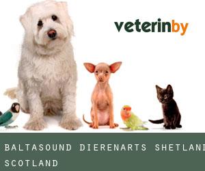 Baltasound dierenarts (Shetland, Scotland)
