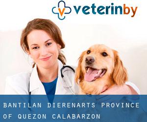 Bantilan dierenarts (Province of Quezon, Calabarzon)