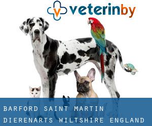 Barford Saint Martin dierenarts (Wiltshire, England)