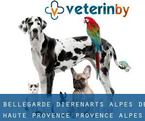 Bellegarde dierenarts (Alpes-de-Haute-Provence, Provence-Alpes-Côte d'Azur)