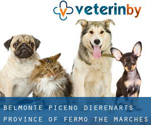 Belmonte Piceno dierenarts (Province of Fermo, The Marches)