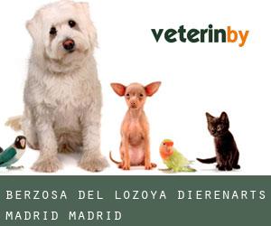 Berzosa del Lozoya dierenarts (Madrid, Madrid)