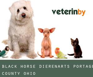 Black Horse dierenarts (Portage County, Ohio)
