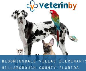 Bloomingdale Villas dierenarts (Hillsborough County, Florida)