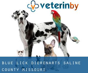 Blue Lick dierenarts (Saline County, Missouri)
