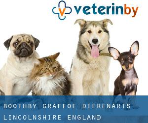Boothby Graffoe dierenarts (Lincolnshire, England)