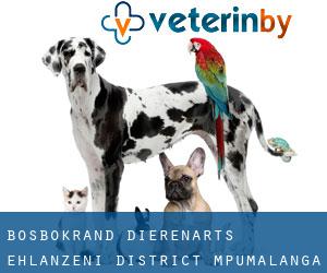 Bosbokrand dierenarts (Ehlanzeni District, Mpumalanga)
