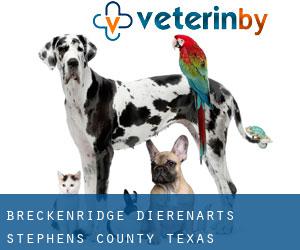 Breckenridge dierenarts (Stephens County, Texas)