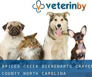 Brices Creek dierenarts (Craven County, North Carolina)