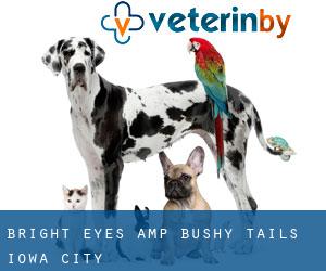 Bright Eyes & Bushy Tails (Iowa City)