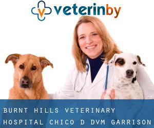 Burnt Hills Veterinary Hospital: Chico D DVM (Garrison Manor)