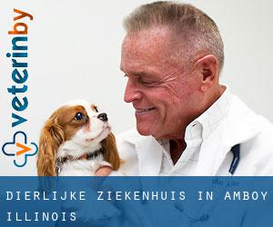 Dierlijke ziekenhuis in Amboy (Illinois)