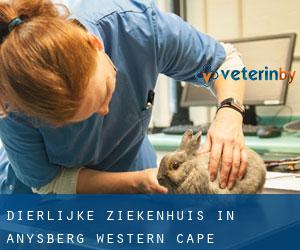 Dierlijke ziekenhuis in Anysberg (Western Cape)