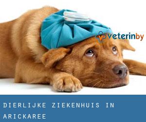 Dierlijke ziekenhuis in Arickaree