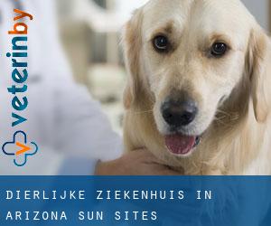 Dierlijke ziekenhuis in Arizona Sun Sites