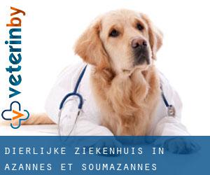 Dierlijke ziekenhuis in Azannes-et-Soumazannes