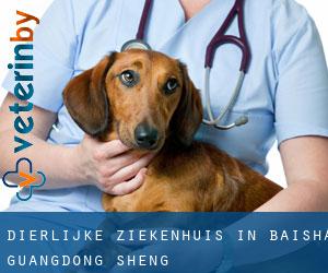 Dierlijke ziekenhuis in Baisha (Guangdong Sheng)