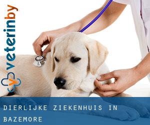 Dierlijke ziekenhuis in Bazemore Dierlijke ziekenhuis in Bazemore