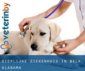 Dierlijke ziekenhuis in Belk (Alabama) Dierlijke ziekenhuis in Belk (Alabama)
