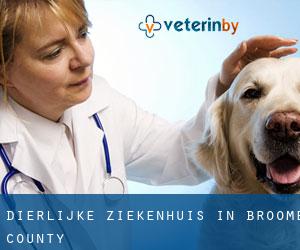 Dierlijke ziekenhuis in Broome County Dierlijke ziekenhuis in Broome County