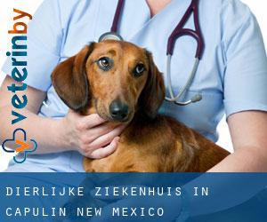 Dierlijke ziekenhuis in Capulin (New Mexico)