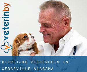 Dierlijke ziekenhuis in Cedarville (Alabama) Dierlijke ziekenhuis in Cedarville (Alabama)