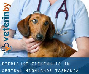 Dierlijke ziekenhuis in Central Highlands (Tasmania)
