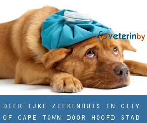 Dierlijke ziekenhuis in City of Cape Town door hoofd stad - pagina 1