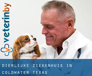 Dierlijke ziekenhuis in Coldwater (Texas)