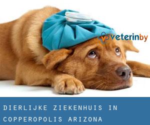 Dierlijke ziekenhuis in Copperopolis (Arizona)