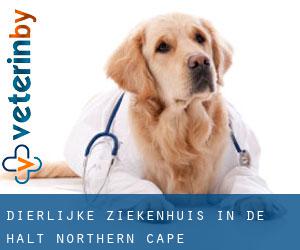 Dierlijke ziekenhuis in De Halt (Northern Cape)