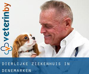 Dierlijke ziekenhuis in Denemarken Dierlijke ziekenhuis in Denemarken
