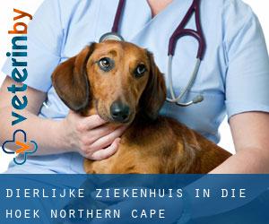 Dierlijke ziekenhuis in Die Hoek (Northern Cape)