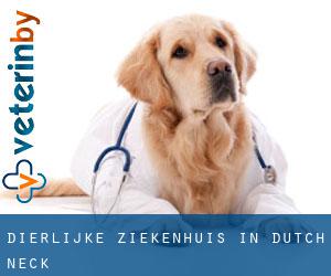 Dierlijke ziekenhuis in Dutch Neck