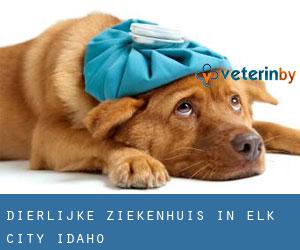 Dierlijke ziekenhuis in Elk City (Idaho)
