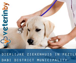 Dierlijke ziekenhuis in Fezile Dabi District Municipality door gemeente - pagina 2