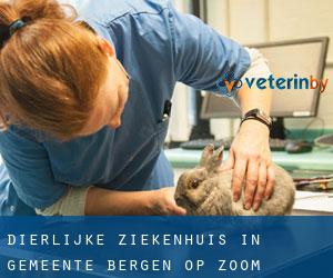 Dierlijke ziekenhuis in Gemeente Bergen op Zoom