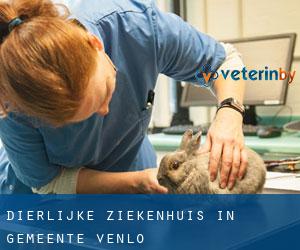 Dierlijke ziekenhuis in Gemeente Venlo